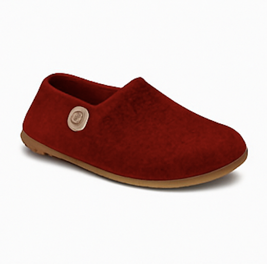 Red loafer slipper